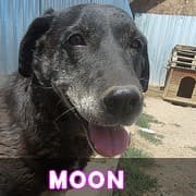 Roxy : rapatriement médical urgent