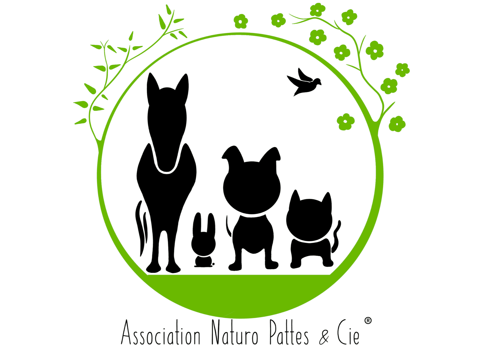 Logo Léa Naturopattes