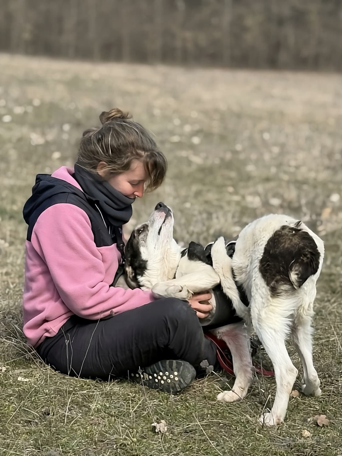 Émilie, éducatrice canine au refuge