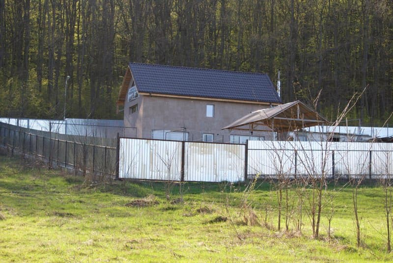 Caprice à la zone d'accueil du refuge de Pascani