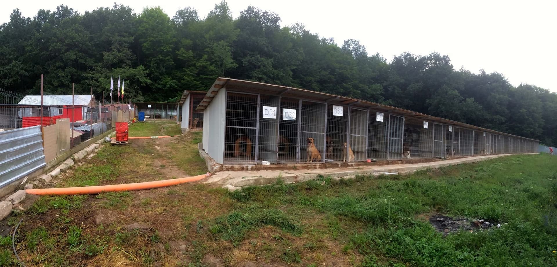 Remember Me Park, le futur refuge en France