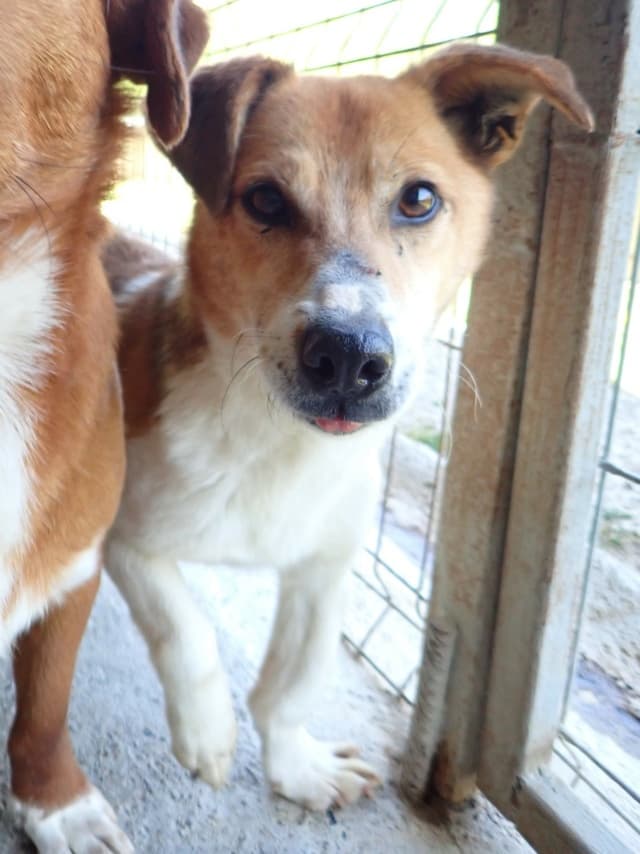 Arturo · photo 12