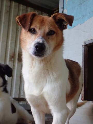 Arturo · photo 2