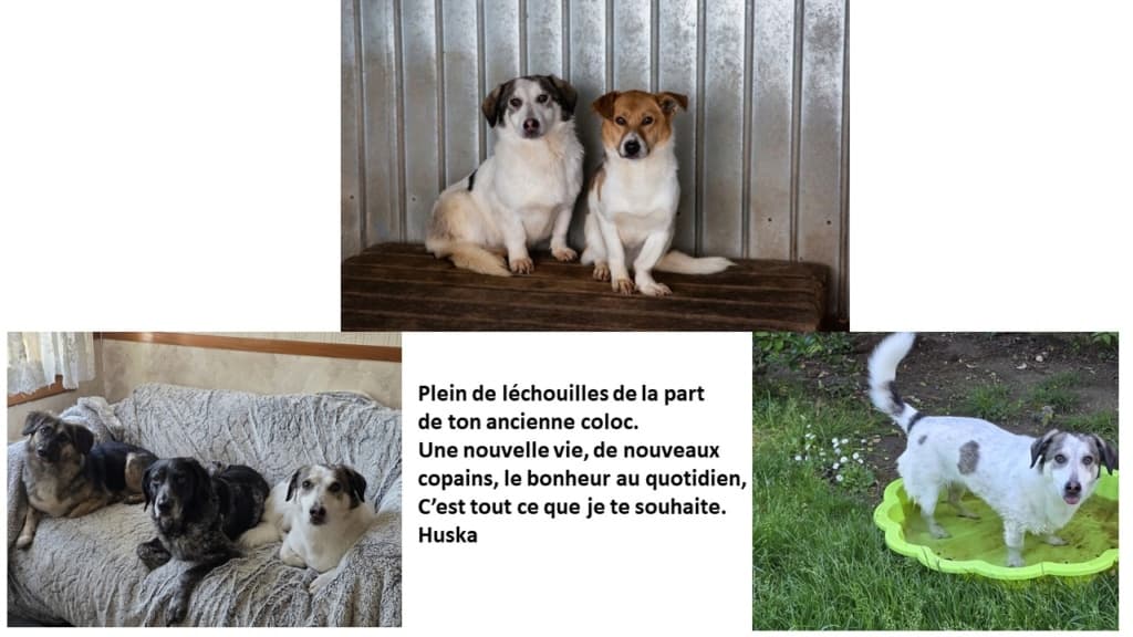 Arturo · photo 1