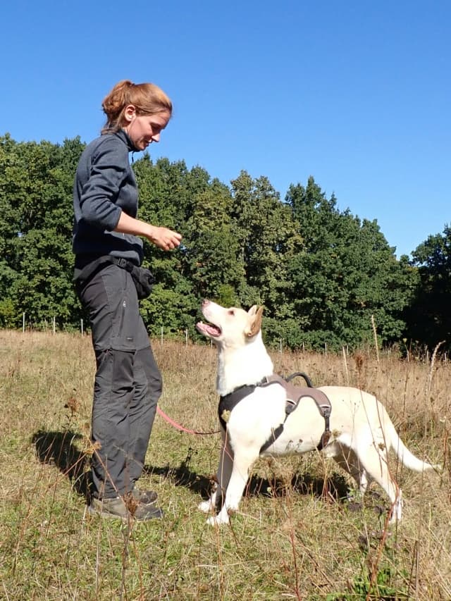 Baylan · photo 10