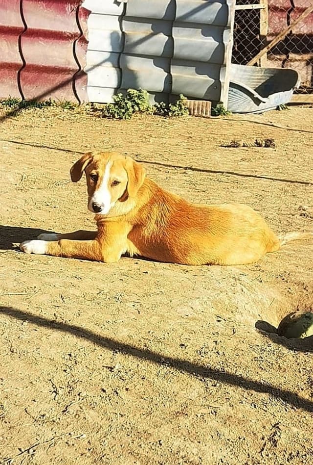 Casie · photo 9