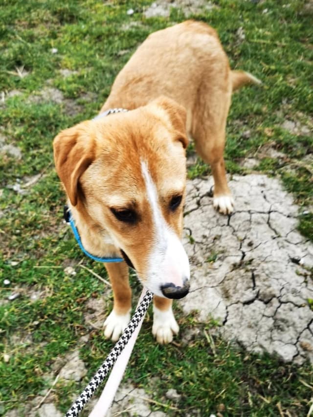 Casie · photo 6