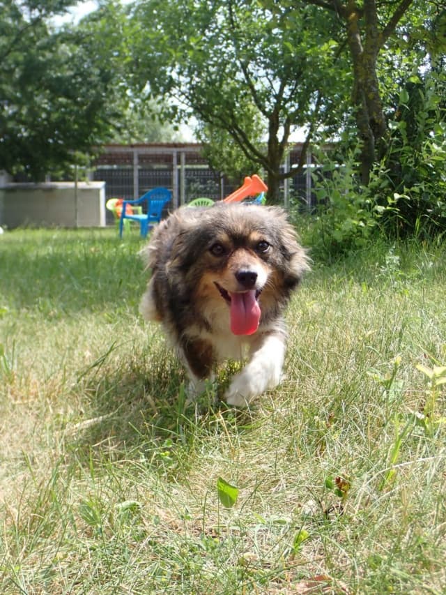 Dolce · photo 9