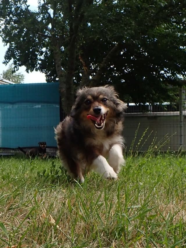 Dolce · photo 3