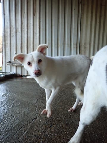 Fleur · photo 2