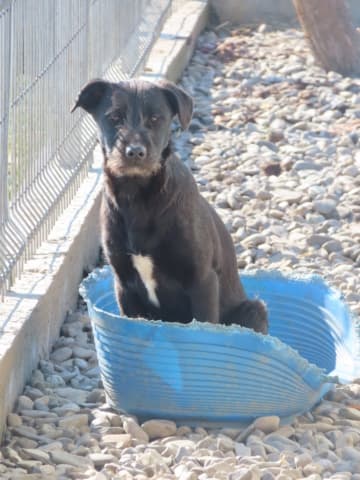 Hitchcock · photo 11