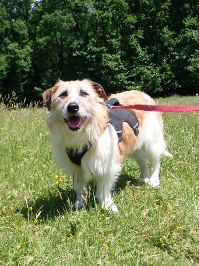 Imelda · photo 6