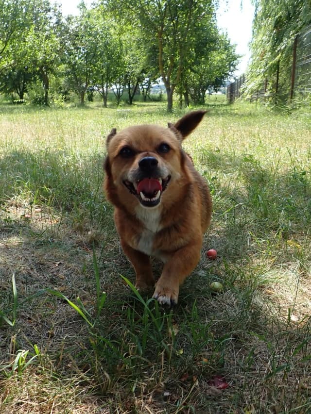 Kiddy · photo 7