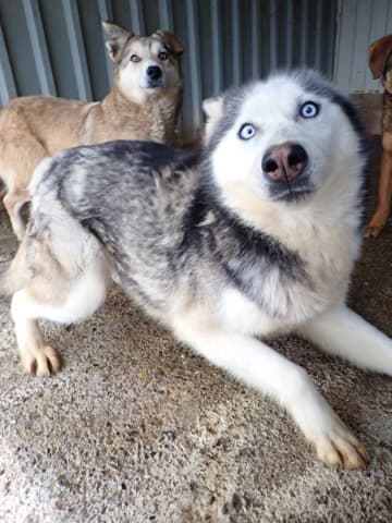 Kira2 · photo 7
