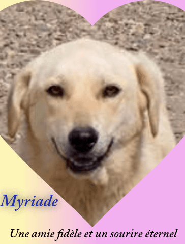 Myriade · photo 3