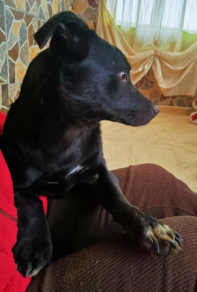 Nikita · photo 12