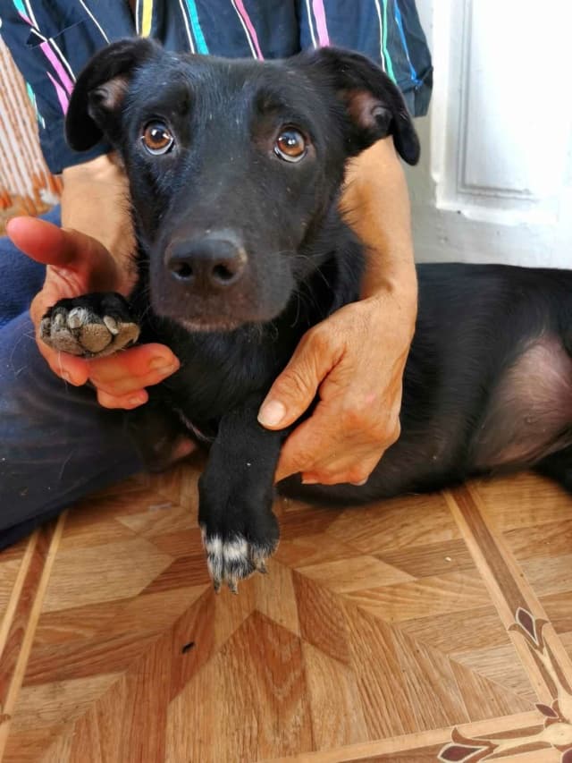 Nikita · photo 3