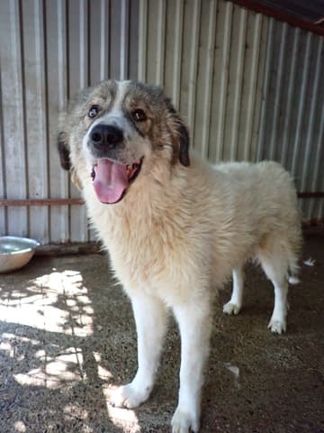 Olympe · photo 8
