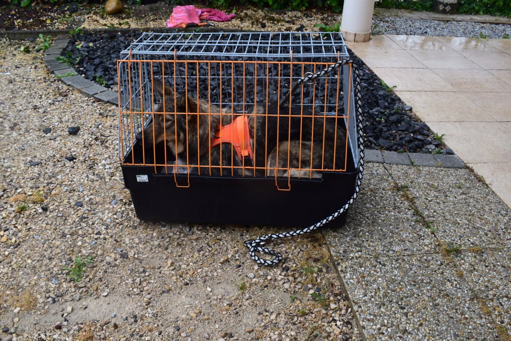 Orange · photo 5