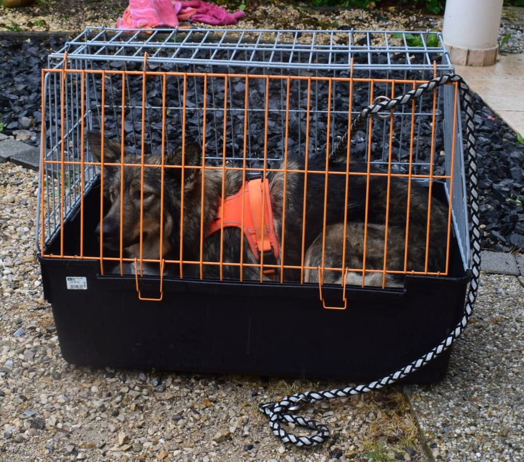 Orange · photo 4