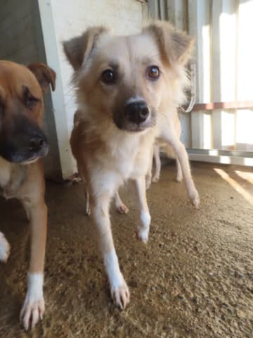 Polly · photo 11