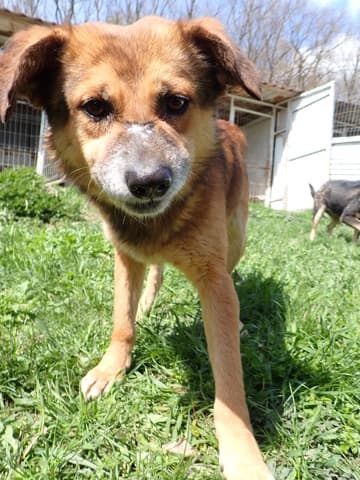 Sabayon · photo 11