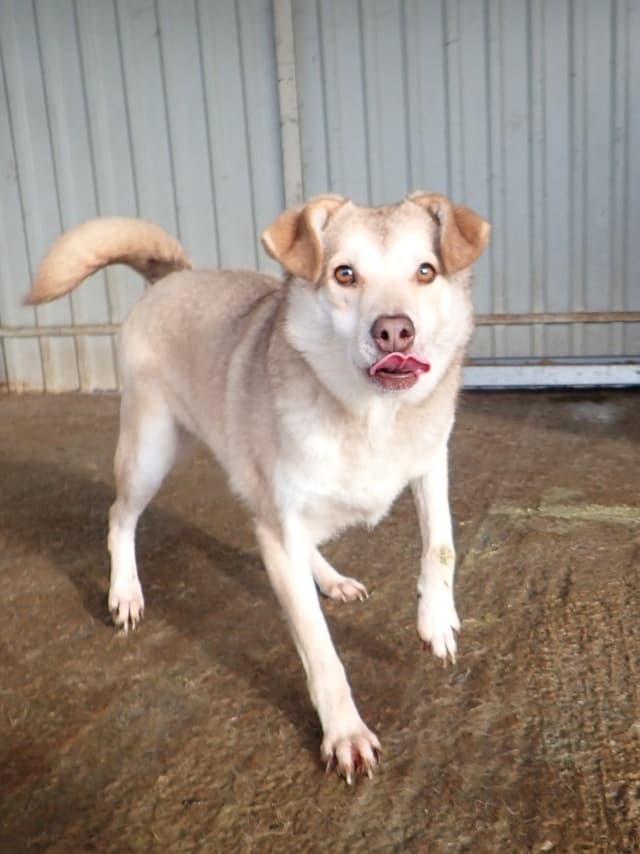 Sadie · photo 10