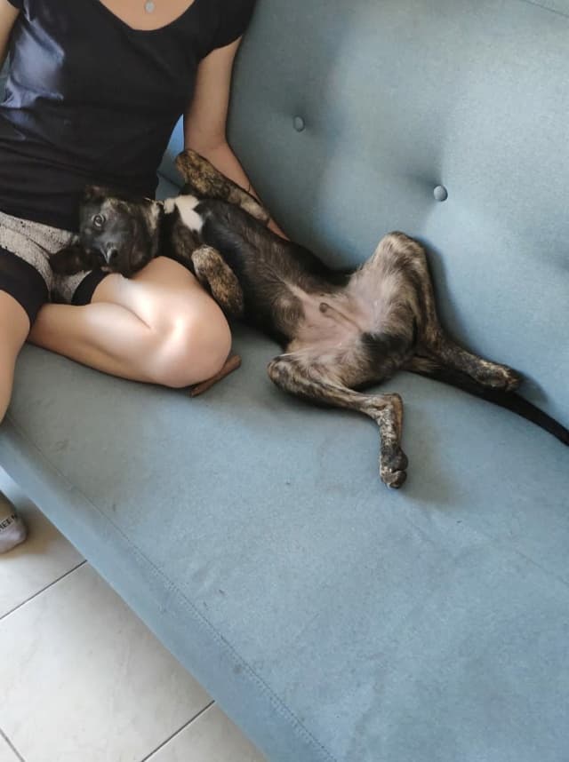 Skippy · photo 11