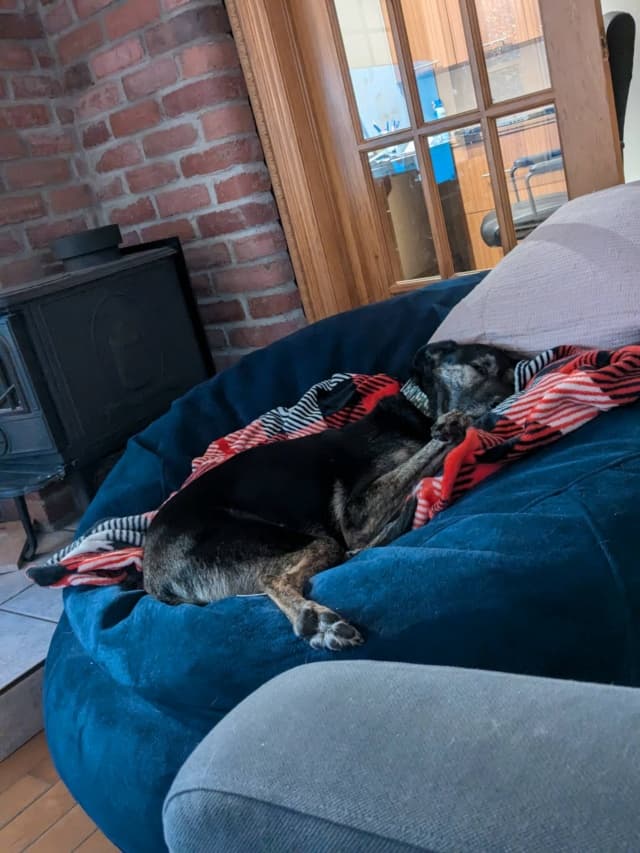 Skippy · photo 2