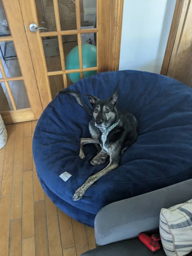 Skippy · photo 1
