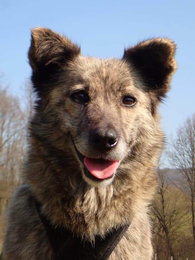 Sylka · photo 4