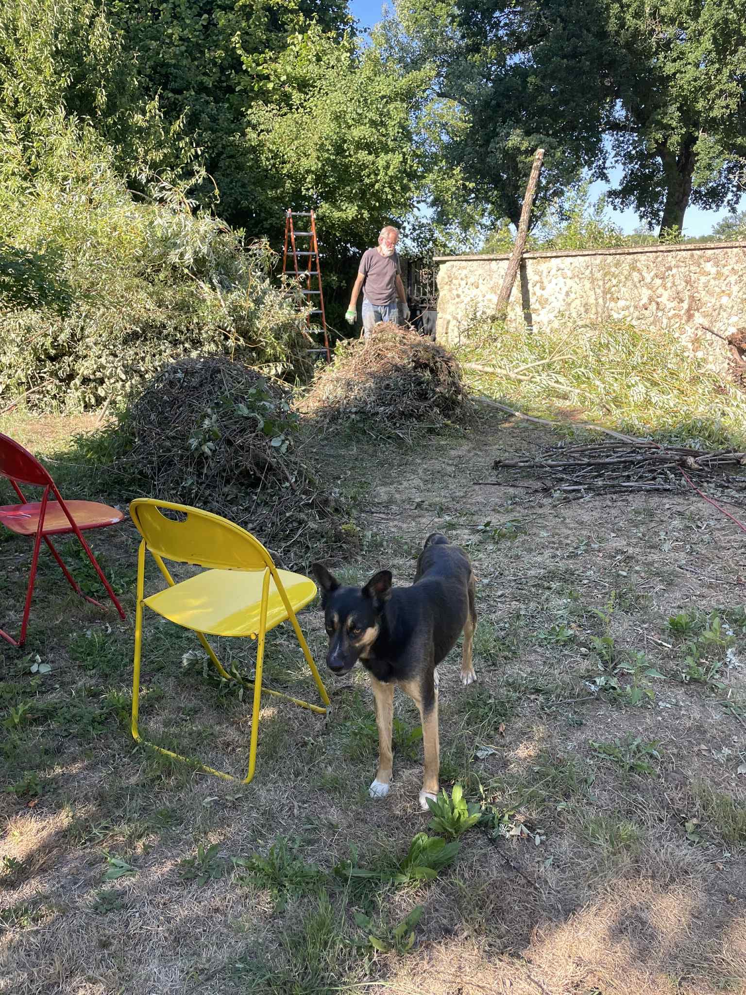 Taco · photo 4
