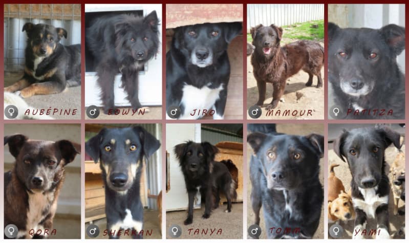 Tanya · photo 7