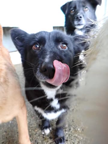 Vitae · photo 10