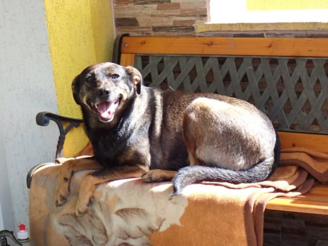 Zelia · photo 6