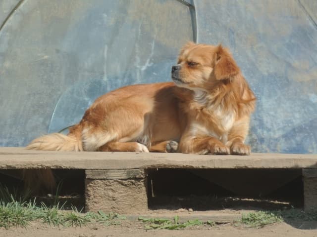 Zigoto · photo 4
