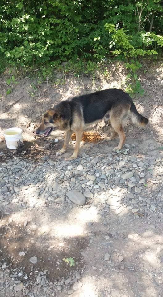 Enee · photo 1