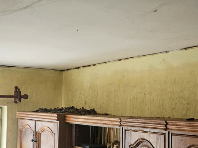 Flammeche · photo 2