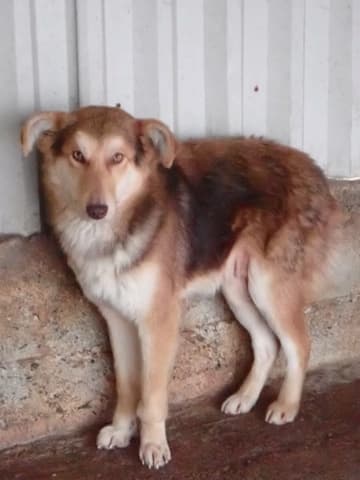 Hooper · photo 12