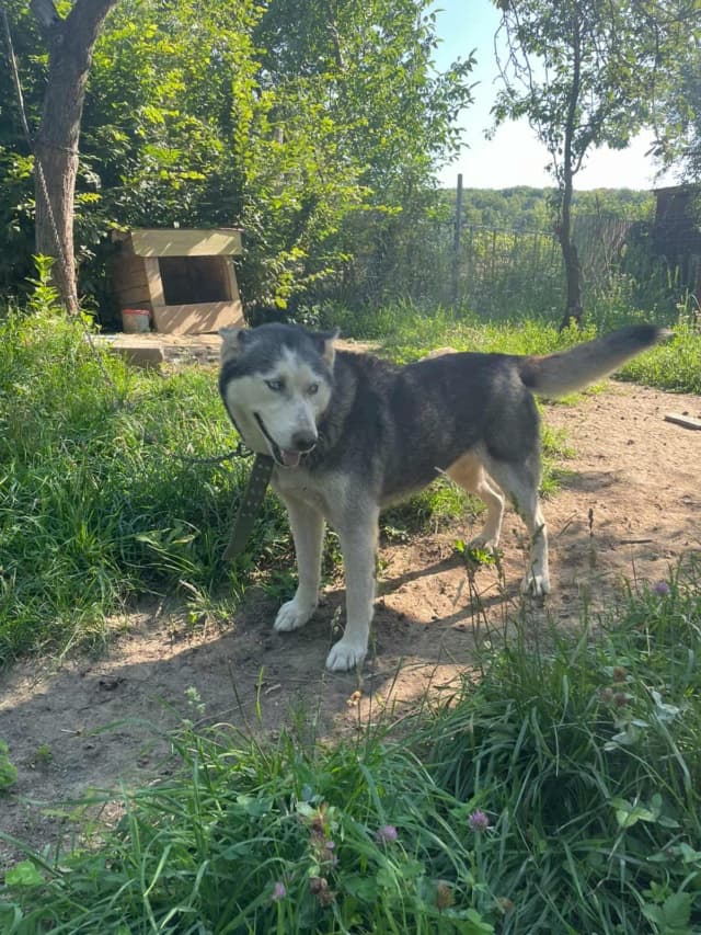 Kira2 · photo 1