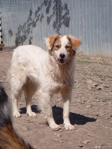 Loyd · photo 1