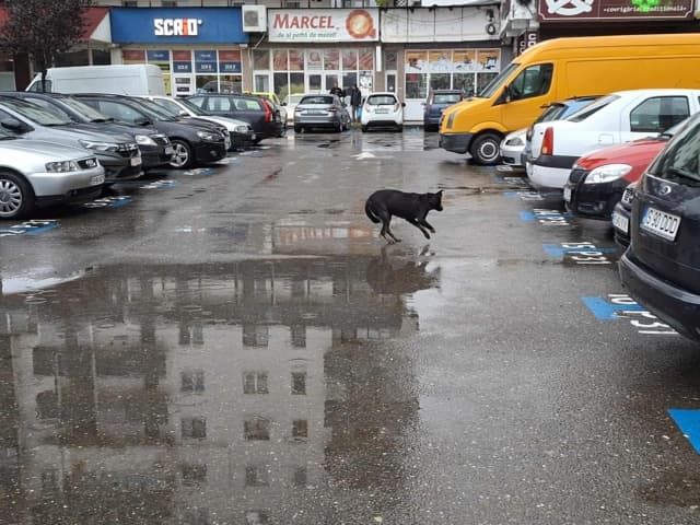 Popi · photo 3