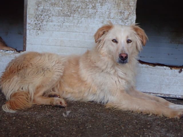 Wilson · photo 2