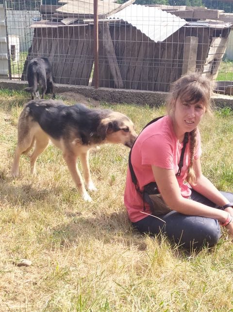 Dallara, rescue dog available for adoption