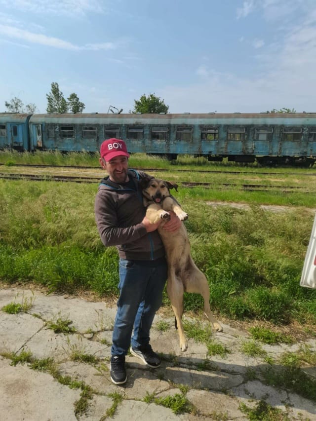 Ciacova, chien à l'adoption