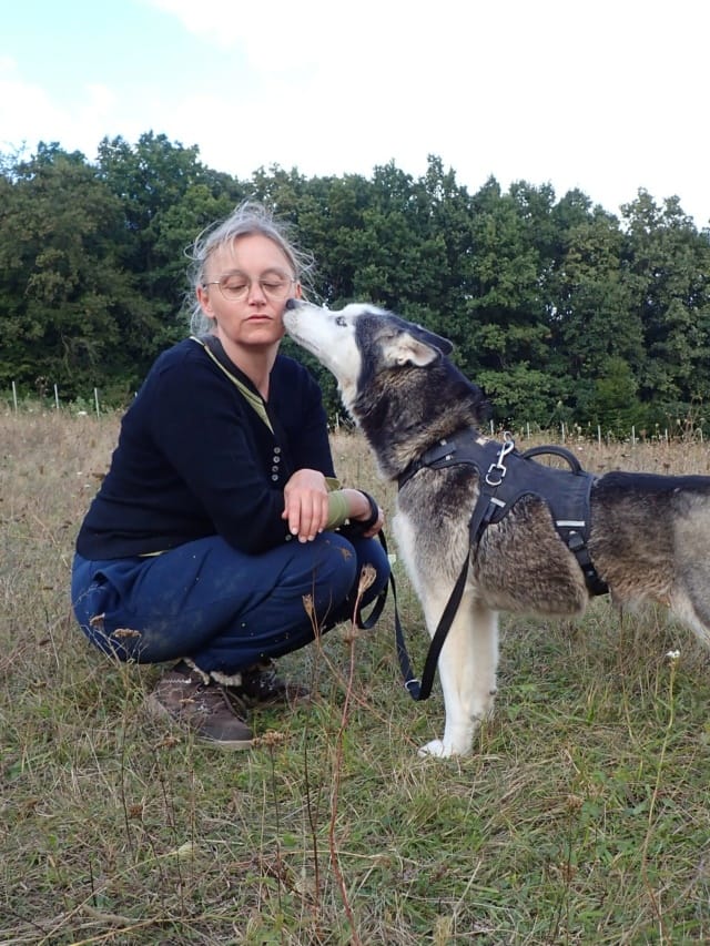 Kira2, chien à l'adoption