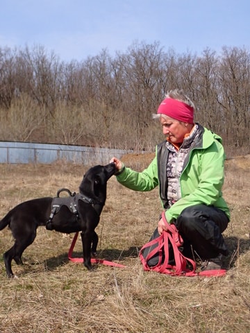 Luisa, dog for adoption at Remember Me France