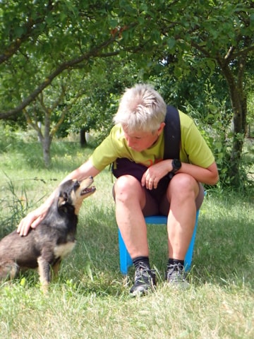 Vita, dog for adoption at Remember Me France