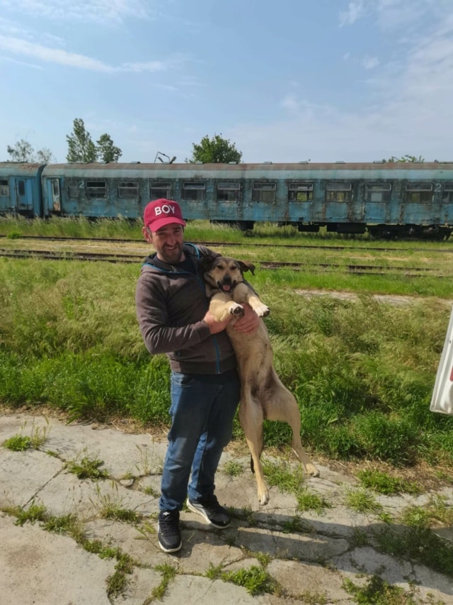 Ciacova, chien à l'adoption chez Remember Me France